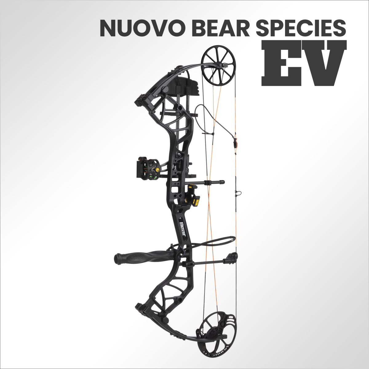 Nuovo Arco Compound Bear Species EV 2022