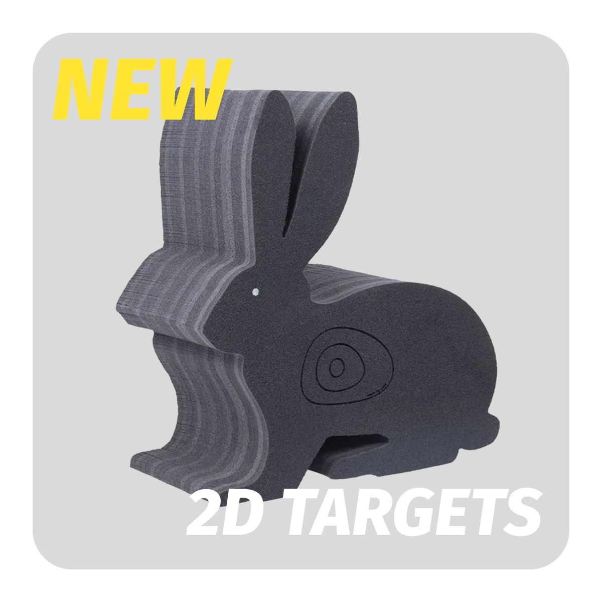 DISPORT 2D TARGETS