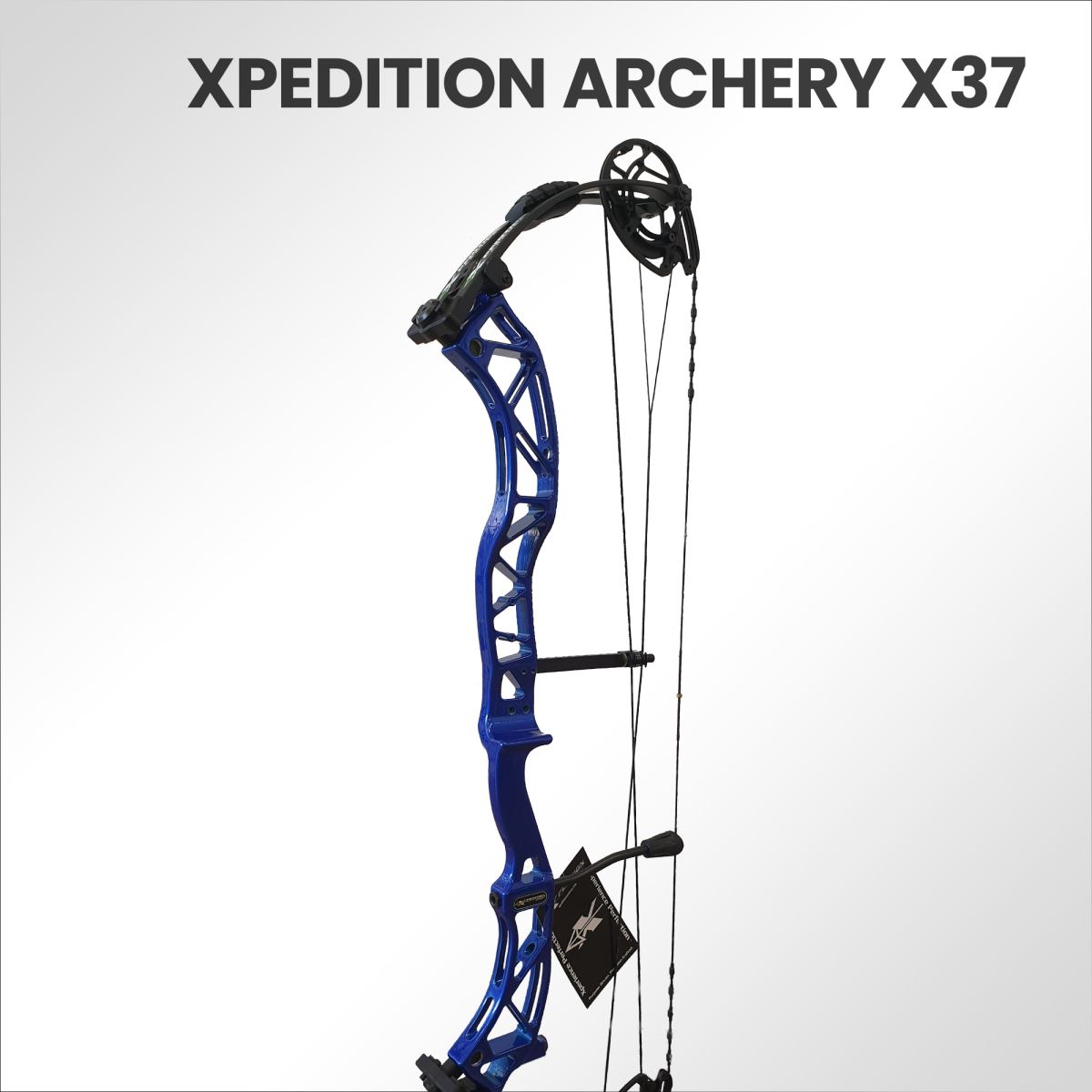E' arrivato in anteprima Europea, il nuovo X37 Xpedition Archery. Scoprilo con noi!