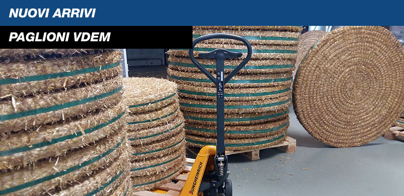 Paglioni Vdem