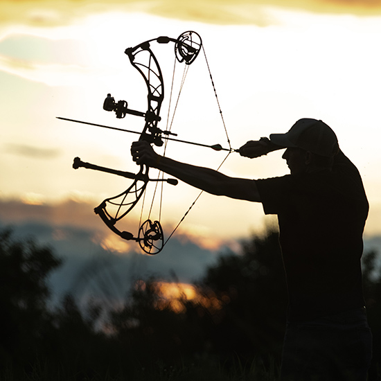 HUNTING COMPOUND BOW