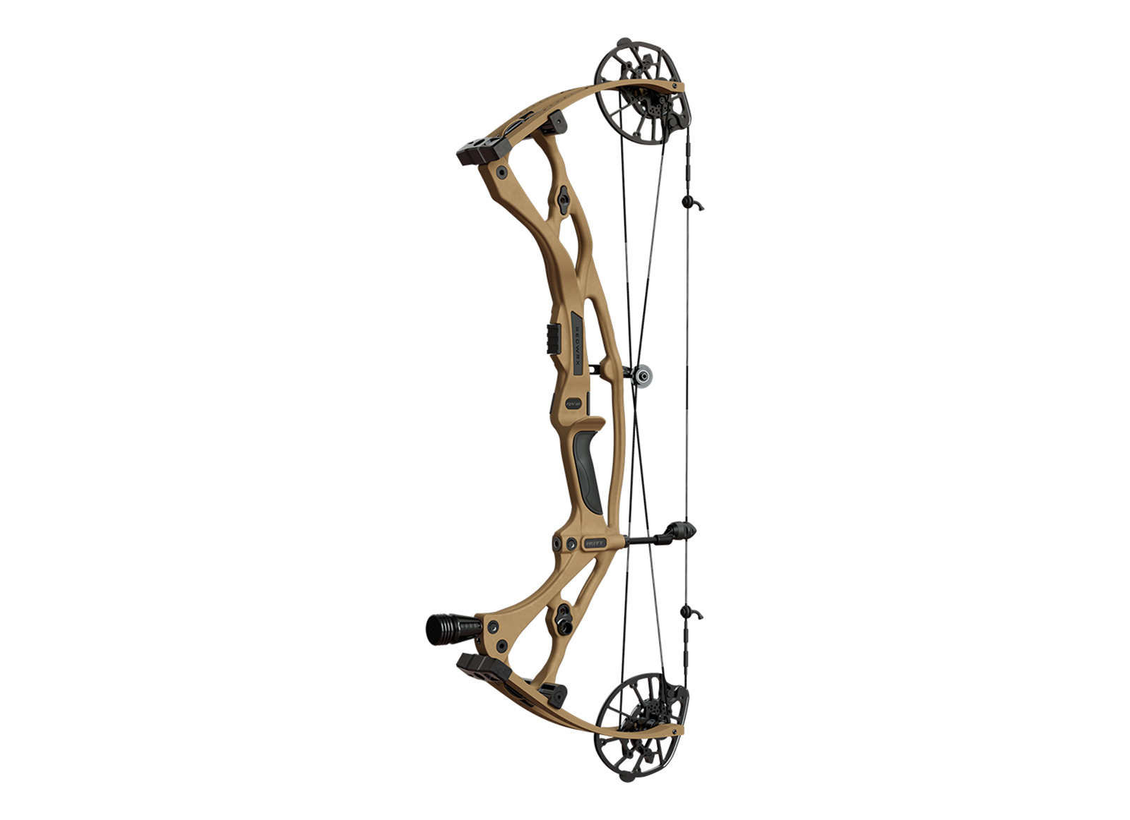 HOYT COMPOUND BOW RX-8 2024 | DISPORT