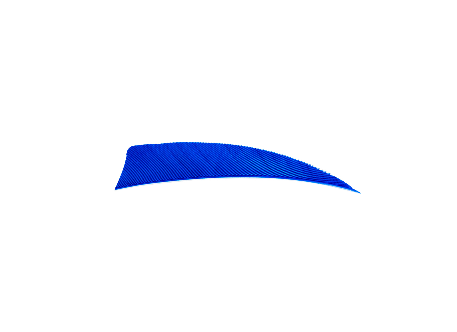 AVALON NATURAL FEATHERS 3'' SHIELD CONF. 50 PZ