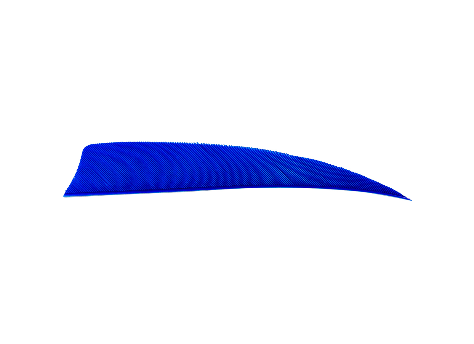 AVALON NATURAL FEATHERS 4'' SHIELD CONF. 50 PZ