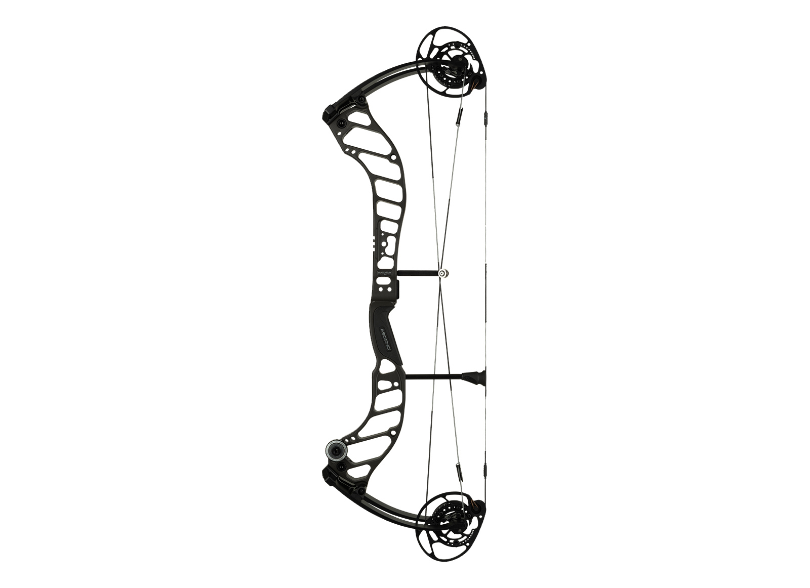 BOWTECH COMPOUND ASCEND 31''